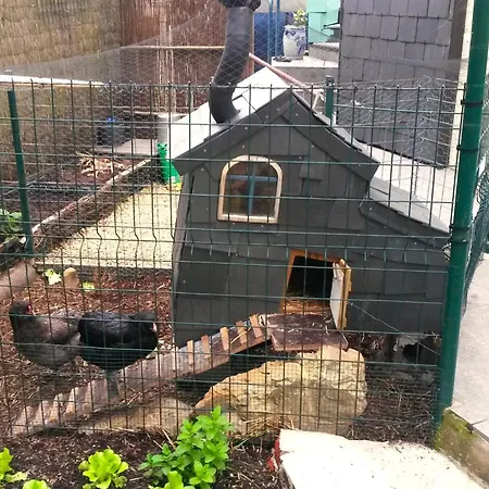 ホームステイ Aux Deux Amis スタヴロ