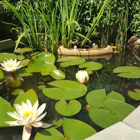 ホームステイ Aux Deux Amis スタヴロ