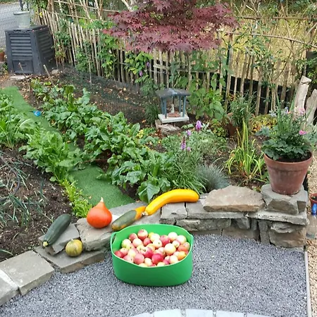 Aux Deux Amis ホームステイ