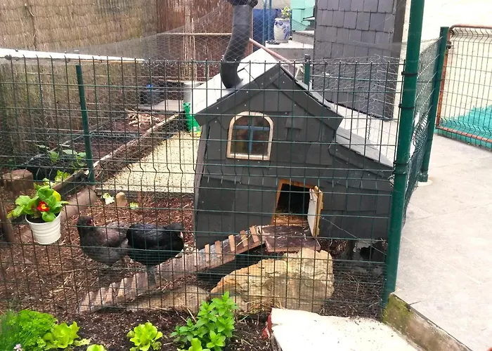 Privatunterkunft Aux Deux Amis Stavelot