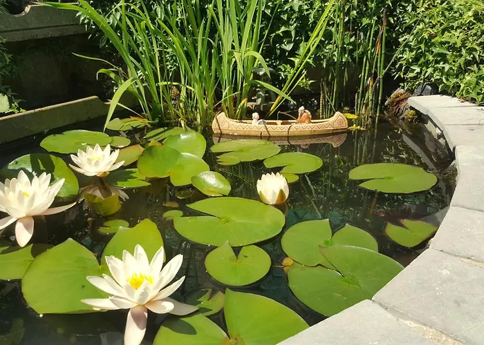 Privatunterkunft Aux Deux Amis Stavelot